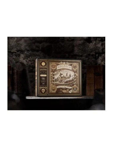 Harry Potter Puzzle multidimensionnel (1000 pièces)