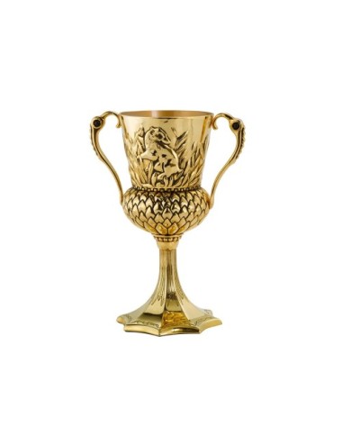 La Coupe de Helga Poufsouffle - Harry Potter