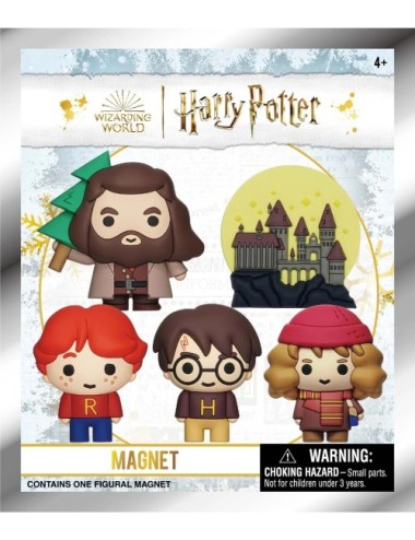 Aimants 3D Harry Potter