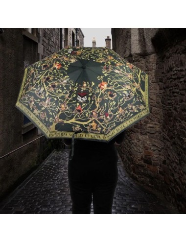 Parapluie - Famille Black - Harry Potter