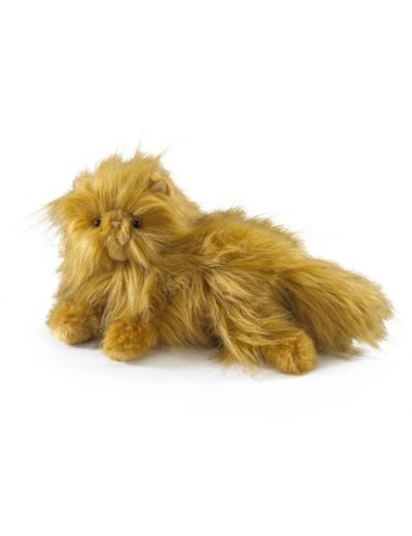 Petite Peluche Pattenrond