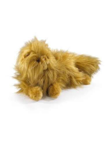 Petite Peluche Pattenrond