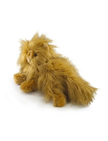 Petite Peluche Pattenrond