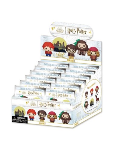 Aimants 3D Harry Potter
