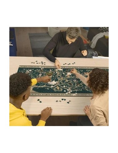 Puzzle Famille Black 2000 pièces