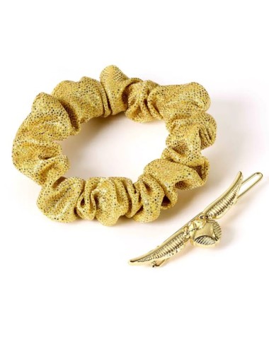 Set d’accessoires pour cheveux Vif d’or - Harry Potter