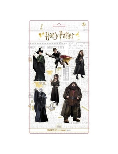Set de 6 magnets Harry Potter – Personnages emblématiques