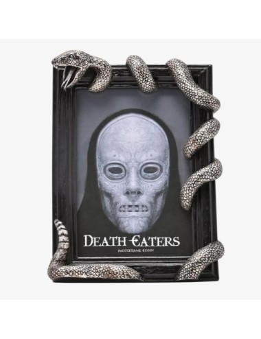 Cadre photo de Harry Potter Nagini