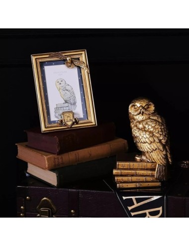 Cadre photo doré Hedwige Harry Potter