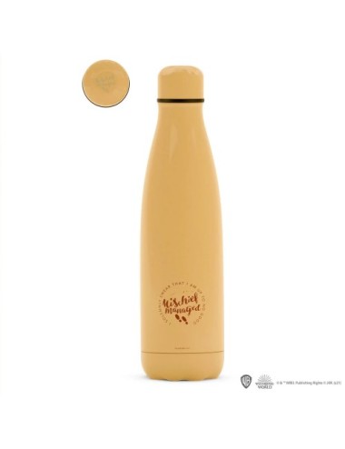 Bouteille isotherme 500ml - Carte du maraudeur - Harry Potter