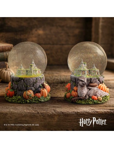 Boule à neige Cabane de Hagrid & Buck – Harry Potter