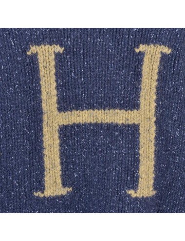 Pull H pour Harry - Harry Potter