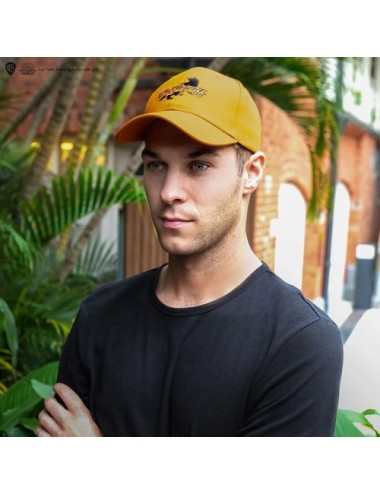 Casquette Hufflepuff