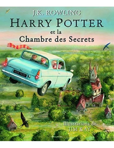HARRY POTTER ET LA CHAMBRE DES SECRETS - VERSION ILLUSTREE ROWLING, J.K.