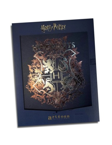 Affiche de collection Poudlard - Harry Potter